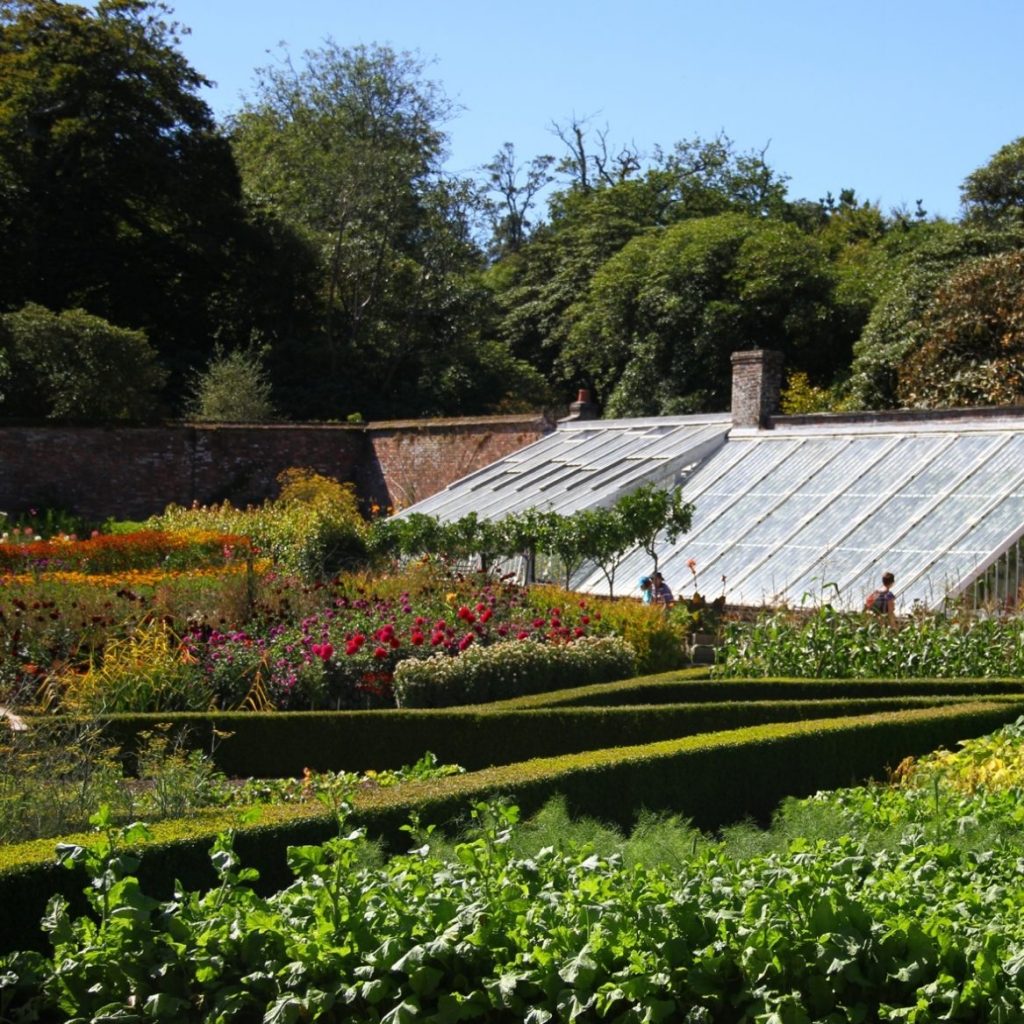 Flower Garden at the Lost Gardens Of Heligan